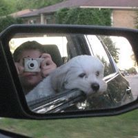 friend image