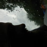 friend image